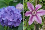 10 Plants You Should Never Prune in October for a Thriving Spring Garden