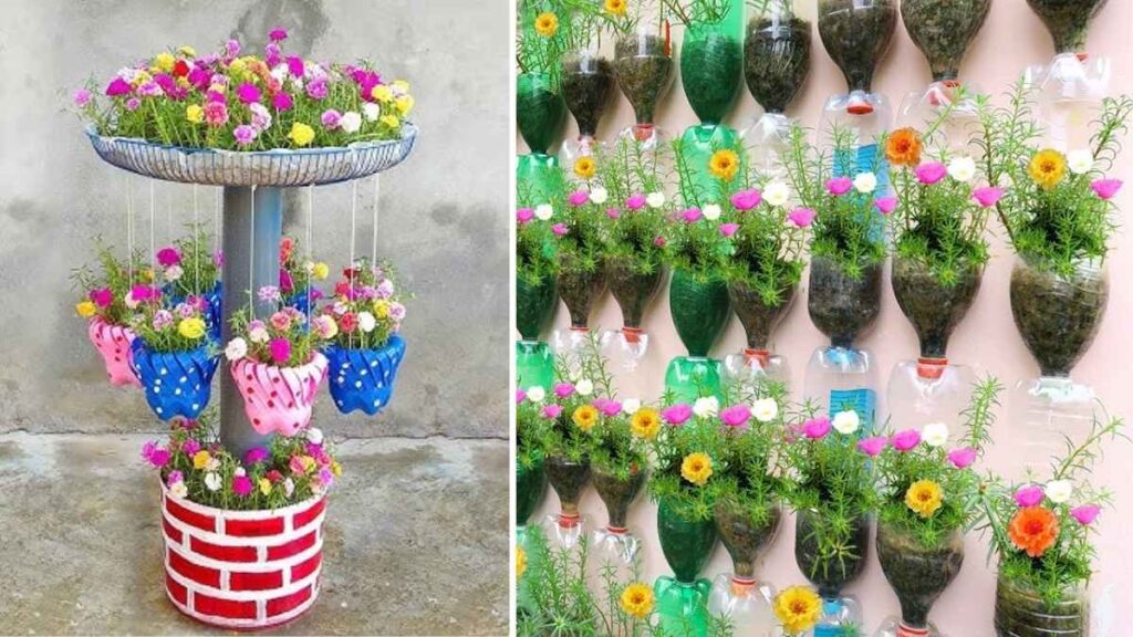 7 Simple Steps to Build a Stunning Bottle Garden
