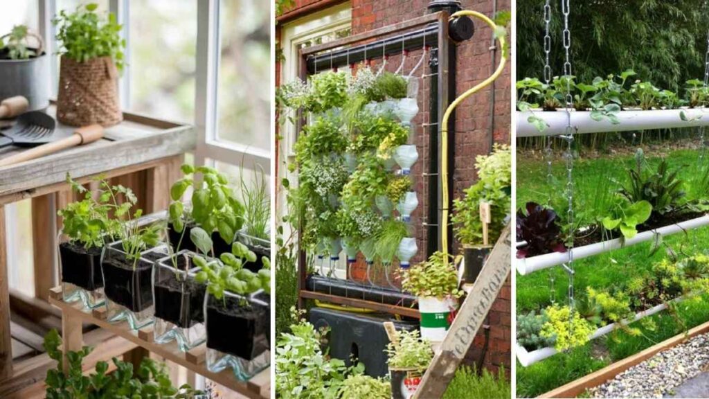 How to Build a Self-Sustaining Indoor Herb Garden