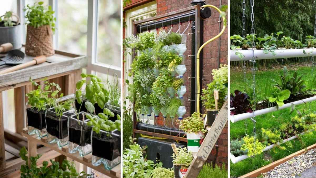 How to Build a Self-Sustaining Indoor Herb Garden