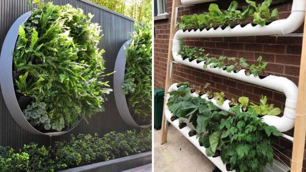 How to Create a Stunning Vertical Garden Wall at Home