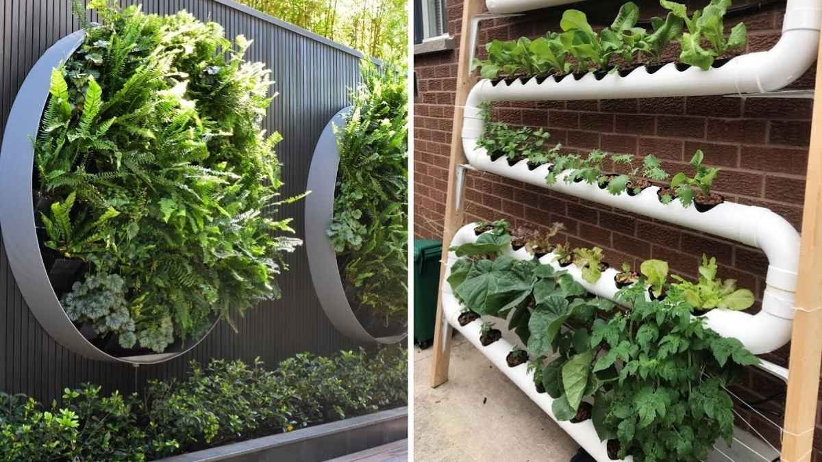 How to Create a Stunning Vertical Garden Wall at Home