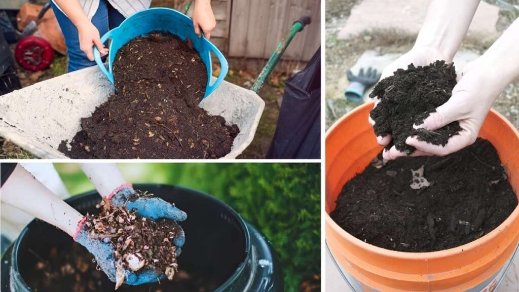 How to Make Compost at Home for Free Plant Food